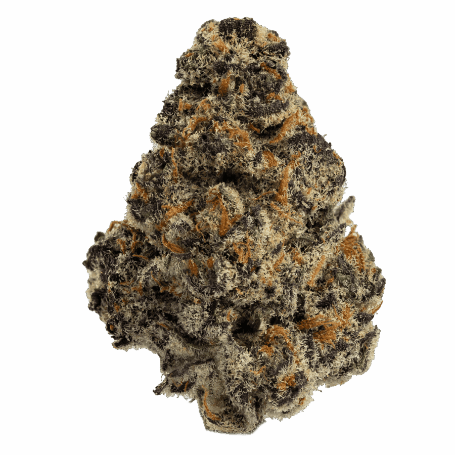 White Widow